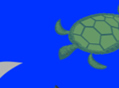 Sea Turtle Video